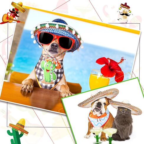 3 Pcs Cinco De Mayo Dog Bandanas Mexico Dog Bandana Taco Cactus Pepper Mallets Bottles Horses Pattern Triangle Bib Pet Scarf Accessories Costume for Small Medium Pets (Tacos) in Kuwait