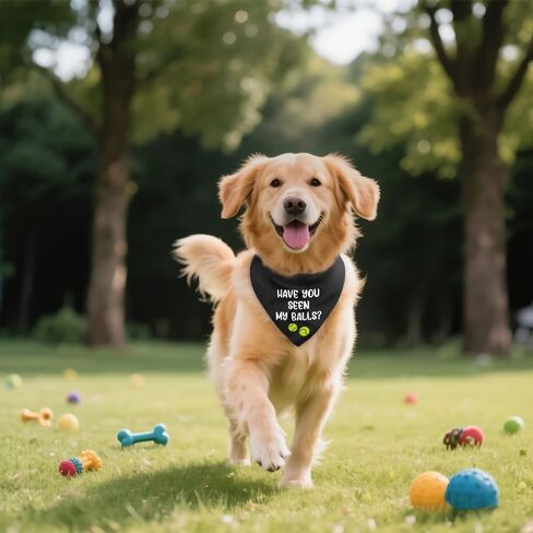 Have You Seen My Balls Black Dog Bandana, Funny Tennis Themed Pet Scarf Accessory Photo Prop for Outdoor Hiking Ball Field, Birthday for Dog Mom Dad Sport Tennis Lover in Kuwait