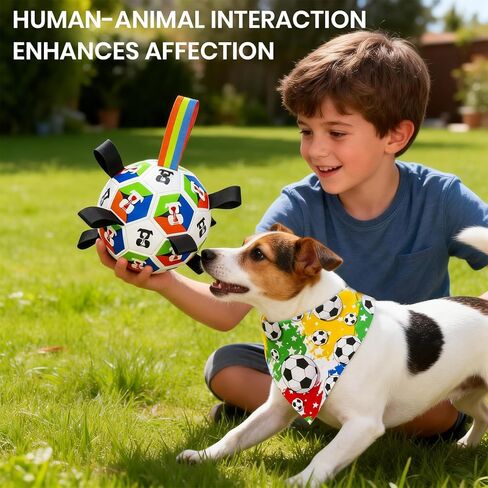 World Cup Soccer Ball Dog Toy, Durable and wear-Resistant, Suitable for Both Cats and Dogs, Ideal for Fetch Training, tug-of-war Games, Entertainment, and chew Toys for Puppies (6 inches). in Kuwait