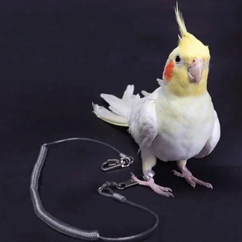 HEEPDD Flying Rope, Training Leash, 19.7ft Portable Bird Flying Rope for Macaw African Greys Parakeet Cockatoo, Ultra Light Anti Bite Nan Bird Supplies in Kuwait