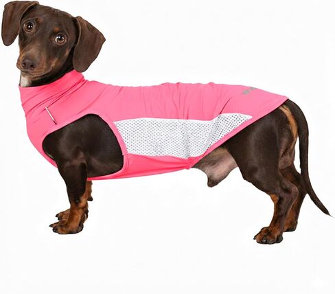 Dachshund Dog Cooling Vest, Breathable Summer Dog Cooling & Quick-Dry Shirt for Outdoor Activities,Mini Dachshund Lightweight Clothes, Vest Small Dogs (Lavender, M (11-14 lbs)) in Kuwait
