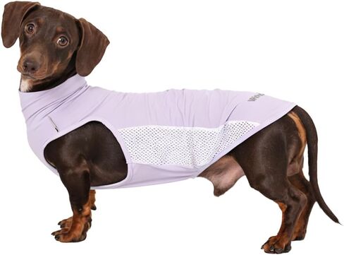 سترة تبريد للكلاب من Dachshund، قميص صيفي للتبريد وسريع الجفاف للكلاب للأنشطة الخارجية، ملابس صغيرة خفيفة الوزن من Dachshund، سترة للكلاب الصغيرة (لافندر، M (11-14 رطل)) in Kuwait