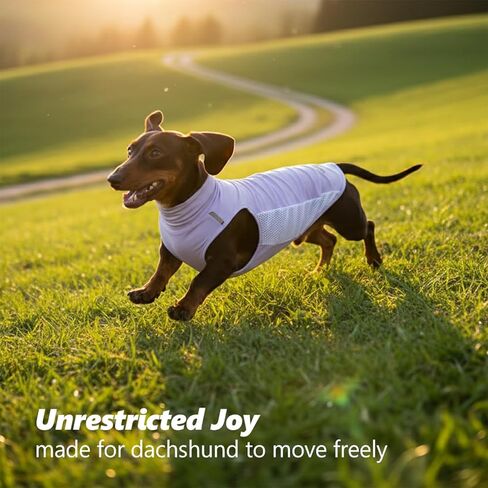 سترة تبريد للكلاب من Dachshund، قميص صيفي للتبريد وسريع الجفاف للكلاب للأنشطة الخارجية، ملابس صغيرة خفيفة الوزن من Dachshund، سترة للكلاب الصغيرة (لافندر، M (11-14 رطل)) in Kuwait