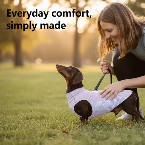 سترة تبريد للكلاب من Dachshund، قميص صيفي للتبريد وسريع الجفاف للكلاب للأنشطة الخارجية، ملابس صغيرة خفيفة الوزن من Dachshund، سترة للكلاب الصغيرة (لافندر، M (11-14 رطل)) in Kuwait
