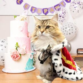 Cat King Cape Birthday Party Supplies, Lux Fur Red Dog Cloak for Halloween Christmas Costumes, Queen Prince Princess Cosplay Cats Kittens Apparel Birthday Decorations Outfits in Saudi Arabia