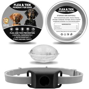 Fursure Dog Pendant 2.0, Dog Accessories—A Waterproof Charm Designed for Collars, Safe for All Dog Breeds (Gray) in Saudi Arabia