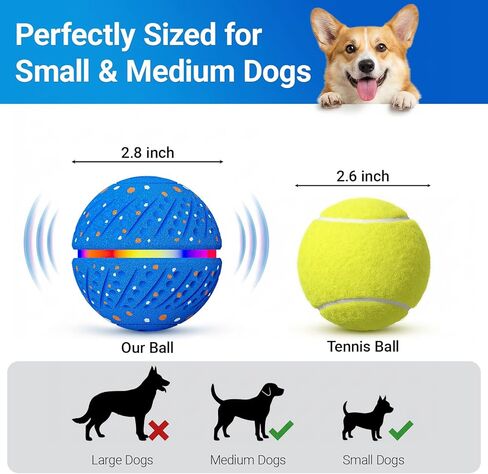 Interactive Dog Ball Toy for Small Medium Dogs – Automatic Rolling, Bouncing & Moving Dog Toy with LED Lights, 2-in-1 Fetch Toy, Durable E-TPU, USB Rechargeable (2.8" Blue) in Kuwait
