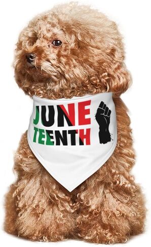 سعيد Juneteenth يوم الكلب عصابات مثلث عكسها الكلب وشاح المرايل قابل للتعديل الأوشحة الحيوانات الأليفة الملحقات للكلاب الصغيرة المتوسطة الحيوانات الأليفة القطط in Kuwait