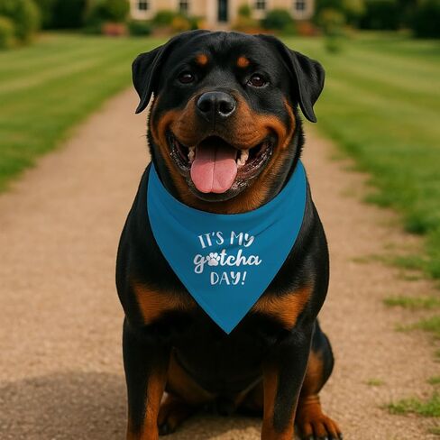 It's My Gotcha Day Dog Bandana، وشاح أزرق مثلث قابل للتعديل للحيوانات الأليفة، زي الاحتفال بالذكرى السنوية للكلاب الصغيرة والمتوسطة، ملحق لطيف للحيوانات الأليفة للحفلات أو التقاط الصور in Kuwait