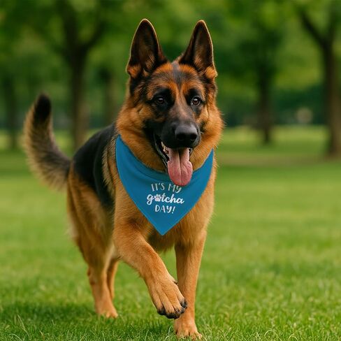It's My Gotcha Day Dog Bandana، وشاح أزرق مثلث قابل للتعديل للحيوانات الأليفة، زي الاحتفال بالذكرى السنوية للكلاب الصغيرة والمتوسطة، ملحق لطيف للحيوانات الأليفة للحفلات أو التقاط الصور in Kuwait