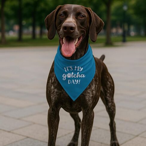 It's My Gotcha Day Dog Bandana، وشاح أزرق مثلث قابل للتعديل للحيوانات الأليفة، زي الاحتفال بالذكرى السنوية للكلاب الصغيرة والمتوسطة، ملحق لطيف للحيوانات الأليفة للحفلات أو التقاط الصور in Kuwait