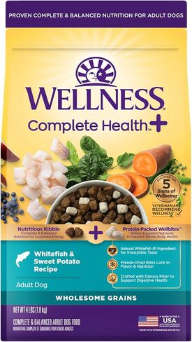 Wellness Complete Health+ Small Breed Adult Dry Dog Food with Freeze Dried Wellbites, Wholesome Grain Kibble+, Natural, Turkey and Oatmeal Recipe, 3.75 lb Bag in Kuwait