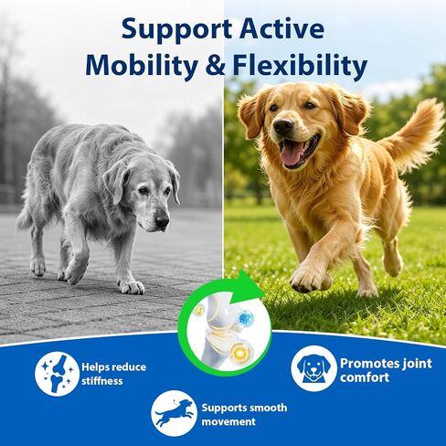 Hip and Joint for Dogs,Glucosamine Support for Dogs Joints Care with MSM and Krill, Dog Joint Chews Pain Relief Dog Bone Health Supplement with Green Lipped Mussel,Chicken Flavor in Kuwait
