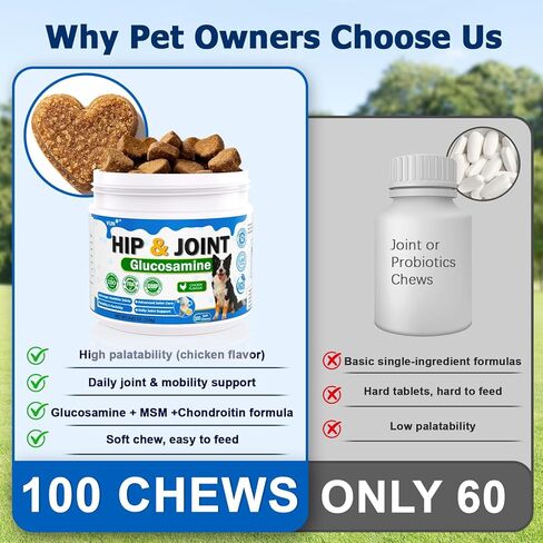Hip and Joint for Dogs,Glucosamine Support for Dogs Joints Care with MSM and Krill, Dog Joint Chews Pain Relief Dog Bone Health Supplement with Green Lipped Mussel,Chicken Flavor in Kuwait