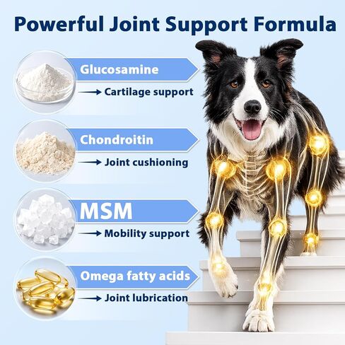 Hip and Joint for Dogs,Glucosamine Support for Dogs Joints Care with MSM and Krill, Dog Joint Chews Pain Relief Dog Bone Health Supplement with Green Lipped Mussel,Chicken Flavor in Kuwait