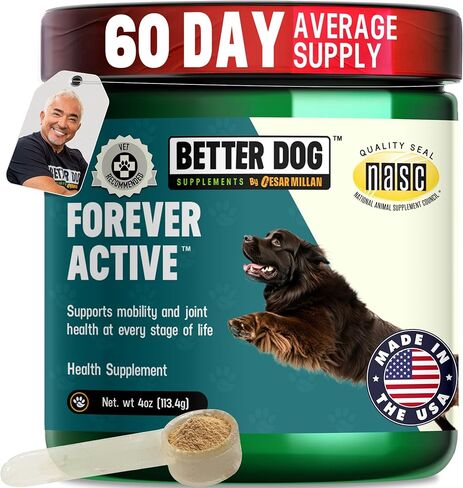 مكملات Better Dog النشطة إلى الأبد من سيزار ميلان - العناية الطبيعية بالورك والمفاصل للكلاب من أجل الحركة والمرونة والراحة - مسحوق المكملات العشبية لمفاصل الكلاب - 4 أونصة (إمداد لمدة 60 يومًا) in Kuwait