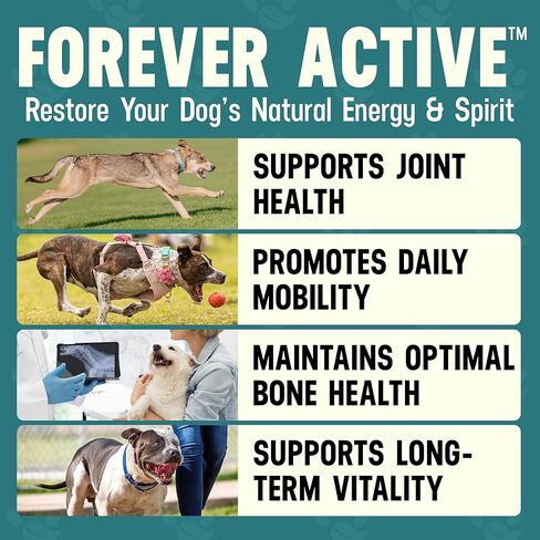 مكملات Better Dog النشطة إلى الأبد من سيزار ميلان - العناية الطبيعية بالورك والمفاصل للكلاب من أجل الحركة والمرونة والراحة - مسحوق المكملات العشبية لمفاصل الكلاب - 4 أونصة (إمداد لمدة 60 يومًا) in Kuwait