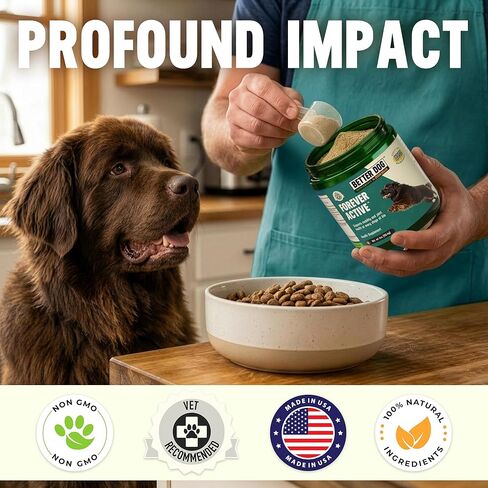 مكملات Better Dog النشطة إلى الأبد من سيزار ميلان - العناية الطبيعية بالورك والمفاصل للكلاب من أجل الحركة والمرونة والراحة - مسحوق المكملات العشبية لمفاصل الكلاب - 4 أونصة (إمداد لمدة 60 يومًا) in Kuwait