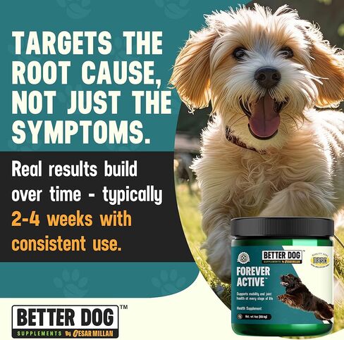 مكملات Better Dog النشطة إلى الأبد من سيزار ميلان - العناية الطبيعية بالورك والمفاصل للكلاب من أجل الحركة والمرونة والراحة - مسحوق المكملات العشبية لمفاصل الكلاب - 4 أونصة (إمداد لمدة 60 يومًا) in Kuwait
