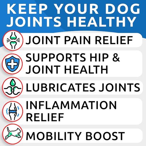 Glucosamine Chondroitin Dog Hip & Joint Supplement - Joint Pain Relief - Hip & Joint Chews for Dogs - Joint Support Large Breed - Senior Doggie Vitamin Pills Joint Health - (360 Treats - BBQ Chicken) in Kuwait