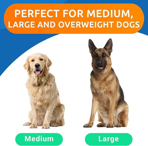 Glucosamine Chondroitin Dog Hip & Joint Supplement - Joint Pain Relief - Hip & Joint Chews for Dogs - Joint Support Large Breed - Senior Doggie Vitamin Pills Joint Health - (360 Treats - BBQ Chicken) in Kuwait