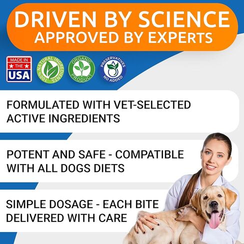 Glucosamine Chondroitin Dog Hip & Joint Supplement - Joint Pain Relief - Hip & Joint Chews for Dogs - Joint Support Large Breed - Senior Doggie Vitamin Pills Joint Health - (360 Treats - BBQ Chicken) in Kuwait