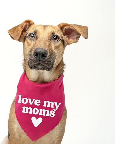 Tees & Tails Love My Moms (Two) Mother's Day Pride Dog Bandana 100% Cotton Tie Dye Triangle Parade Costume LGBTQ+ Community Ally Rainbow Month Sunset Tie Dye One Size in Saudi Arabia