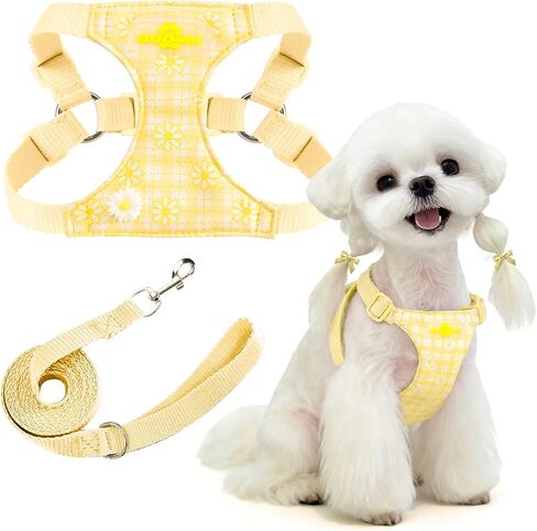 PETCARE Cute Small Dog Harness and Leash Set Purple Floral Daisy Puppy Harness Vest Adjustable Step in Spring Summer Soft Mesh Flower Girl Dog Harnesses for Chihuahua Yorkie Pomeranian Shih Tzu, XS in Kuwait