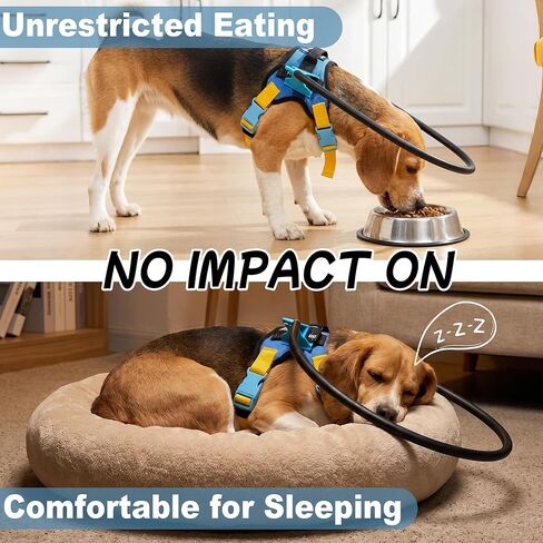 Adjustable Blind Dog Halo Collar, Protective Navigation Aid with Protective Ring Collar for Visually Impaired Dogs (XXS fits 12.90"-18.50") in Kuwait