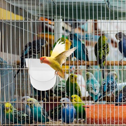 KESYOO 4Pcs Sturdy Feeder Bowl Durable Pet Bird Food Holder for Cage Parrot Food Dispenser for Birds and Parrots in Kuwait