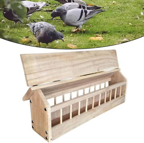 Gralara Pigeon Feeder Trough Bird Feeding Bowl Birds Supplies Chicken Feeder Poultry Food Dispenser for Ducklings Home Garden Birds, 40x11x7cm in Kuwait