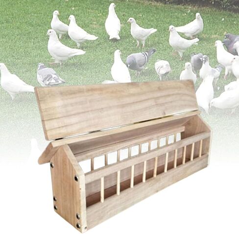 Gralara Pigeon Feeder Trough Bird Feeding Bowl Birds Supplies Chicken Feeder Poultry Food Dispenser for Ducklings Home Garden Birds, 40x11x7cm in Kuwait