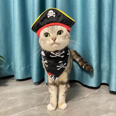 Cat Pirate Costume Set, Halloween Pet Outfit with Pirate Hat, Eye Patch, and Skull Crossbones Bandana in Kuwait
