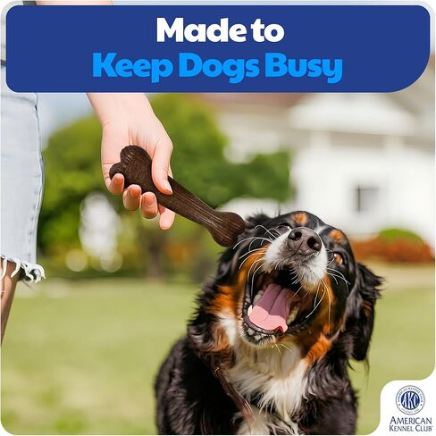 American Kennel Club عبوة من قطعتين لتدريب الكلاب على المضغ، ألعاب للكلاب على شكل عظمة متفرعة من البولي بروبيلين المملوءة بالخشب، ألعاب متينة للكلاب للمضغ المعتدل، معطرة بلحم البقر للمشاركة طويلة الأمد، تدعم صحة الأسنان in Kuwait