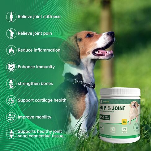 Glucosamine for Dogs 150pcs Joint Support Supplement Dog Hip and Joint Chondroitin Chews Treats with MSM, Omega3, Dog Joint Pain Relief Mobility Supplements Chicken Flavor Fit All Breed in Kuwait