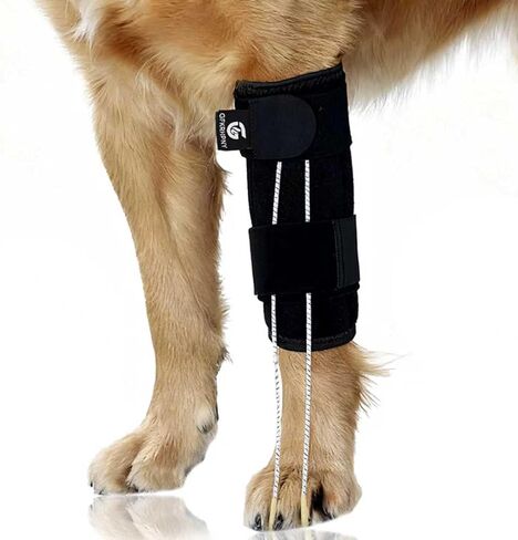 Dog Front Leg Support Brace for Foot Drop, Canine Knuckling Prevention, Toe Dragging Assistance in Saudi Arabia