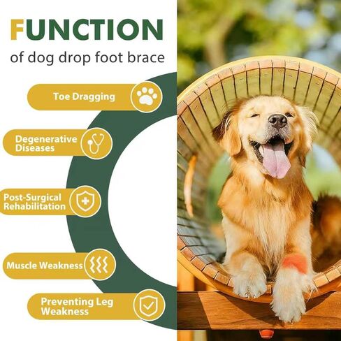 Dog Front Leg Support Brace for Foot Drop, Canine Knuckling Prevention, Toe Dragging Assistance in Saudi Arabia