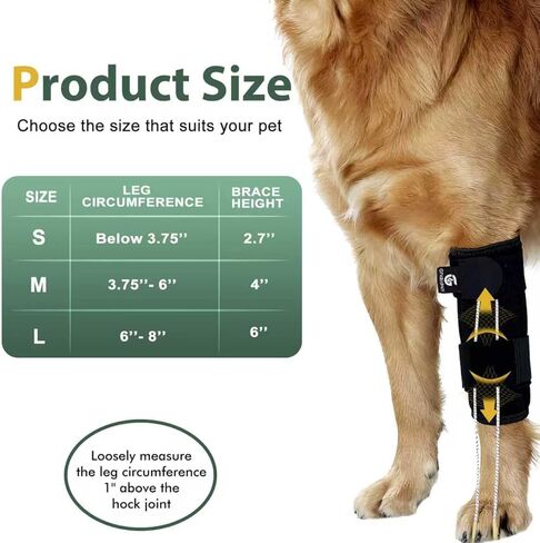 Dog Front Leg Support Brace for Foot Drop, Canine Knuckling Prevention, Toe Dragging Assistance in Saudi Arabia