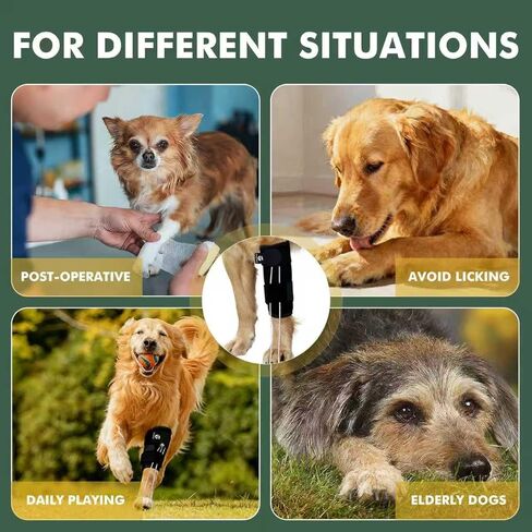 Dog Front Leg Support Brace for Foot Drop, Canine Knuckling Prevention, Toe Dragging Assistance in Saudi Arabia