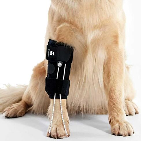 Dog Front Leg Support Brace for Foot Drop, Canine Knuckling Prevention, Toe Dragging Assistance in Kuwait