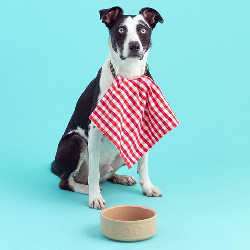 Mason Cash: وعاء Cane Dog - 7 بوصات، 40.6 أونصة - أسمر، طبق طعام وماء، خزف حجري متين، آمن للاستخدام في الميكروويف وغسالة الأطباق، وجبة طعام الحيوانات الأليفة - ترطيب in Kuwait