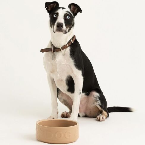 Mason Cash: وعاء Cane Dog - 7 بوصات، 40.6 أونصة - أسمر، طبق طعام وماء، خزف حجري متين، آمن للاستخدام في الميكروويف وغسالة الأطباق، وجبة طعام الحيوانات الأليفة - ترطيب in Kuwait