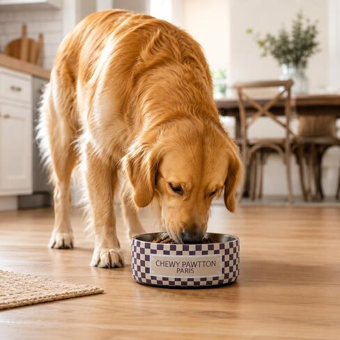 Chewypawtton Designer Inspired Luxury Dog Bowl Premium Stainless Steel Pet Feeding & Water Bowl, Non-Slip Insulated Dish, Gift-Ready for Chic Dog Lovers (ChewyPawtton, 32 oz) in Kuwait