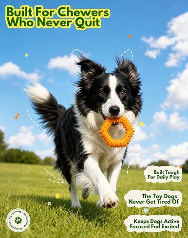 Spiked Rubber Dog Chew Ring, Teething & Gum Care Toy for Small Medium Dogs, Soft Bumpy Texture Dental Oral Care Puppy Toy, Non-Toxic Interactive Pet Chew Ring for Indoor Play, Not for aggresive chewer in Kuwait