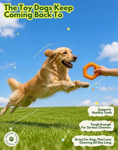 Spiked Rubber Dog Chew Ring, Teething & Gum Care Toy for Small Medium Dogs, Soft Bumpy Texture Dental Oral Care Puppy Toy, Non-Toxic Interactive Pet Chew Ring for Indoor Play, Not for aggresive chewer in Kuwait