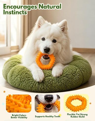 Spiked Rubber Dog Chew Ring, Teething & Gum Care Toy for Small Medium Dogs, Soft Bumpy Texture Dental Oral Care Puppy Toy, Non-Toxic Interactive Pet Chew Ring for Indoor Play, Not for aggresive chewer in Kuwait