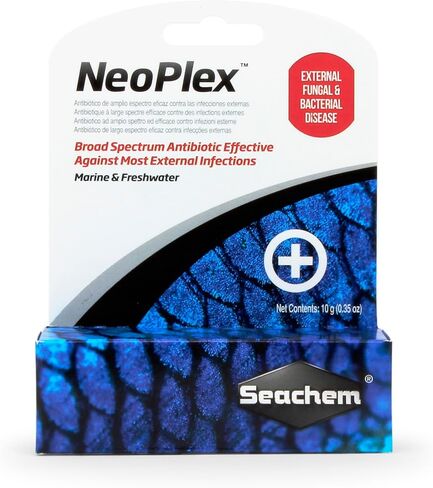 NeoPlex, 10 g / 0.4 oz in Kuwait