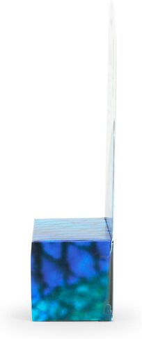 NeoPlex, 10 g / 0.4 oz in Kuwait