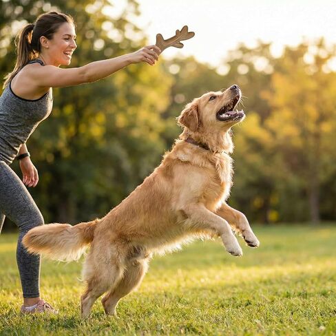 لعبة مضغ كلب قرن الوعل المتينة من Paw-FECT، نكهة لحم البقر الحقيقية، لعبة تسنين من النايلون القوي، رائعة للمضغ والتدريب العدواني، تدوم طويلاً وتنظف الأسنان، تمنع الملل لجميع السلالات/الأحجام in Kuwait