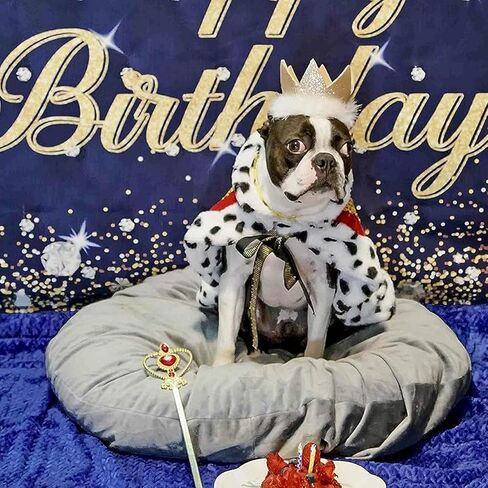 Cat King Cape Birthday Party Supplies, Lux Fur Red Dog Cloak for Halloween Christmas Costumes, Queen Prince Princess Cosplay Cats Kittens Apparel Birthday Decorations Outfits in Kuwait